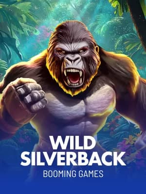 Wild Silverback