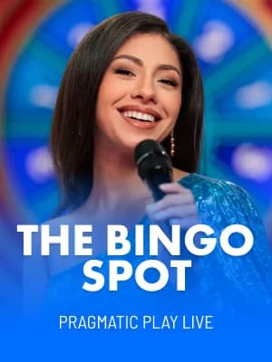 The Bingo Spot