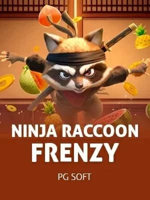 Ninja Raccoon Frenzy