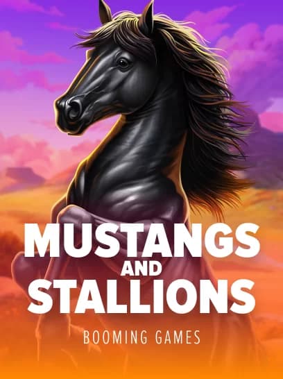 Mustangs and Stallions