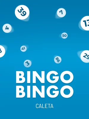 Bingo Bingo