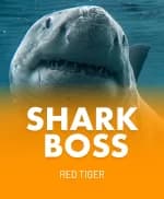 Shark Boss